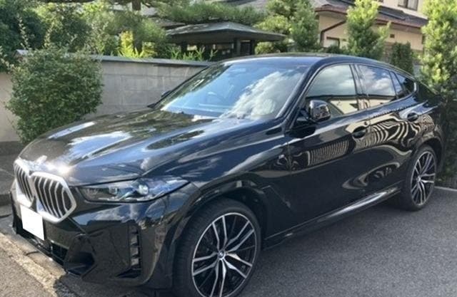 2025 BMW X6