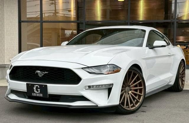 2019 FORD MUSTANG