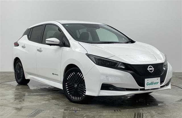 2025 NISSAN LEAF