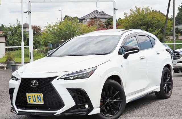 2025 LEXUS NX
