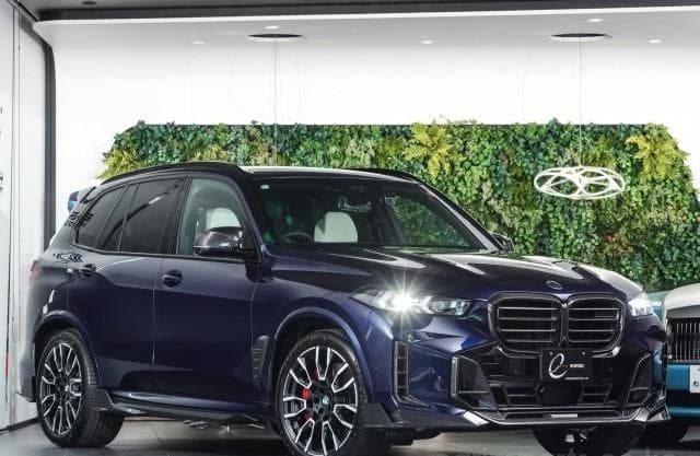 2024 BMW X5 SERIES