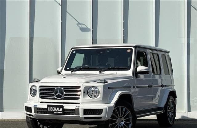 2019 MERCEDES BENZ GELANDEWAGEN