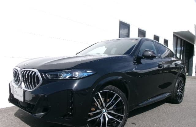 2025 BMW X6
